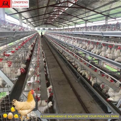 90 Birds, 120birds, 160birds 1 Year Warranty Layer Cages Poultry Farm Cage