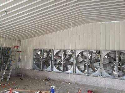 Automatic Poultry House with Ventilation Fans