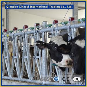 1016X3.0m Headlock Cattle Equipment for Farm Equipment