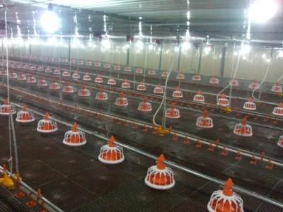 Professional Design Chicken Broiler Poultry Farm