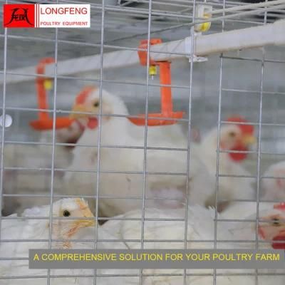 Professional Longfeng Standard Packing 1250*800mm China Broiler Chicken Cage 9lcr-3120