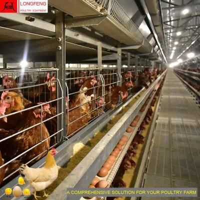 Longfeng Computerized China Poultry Equipment Chicken Layer Cage Cages with Factory Price