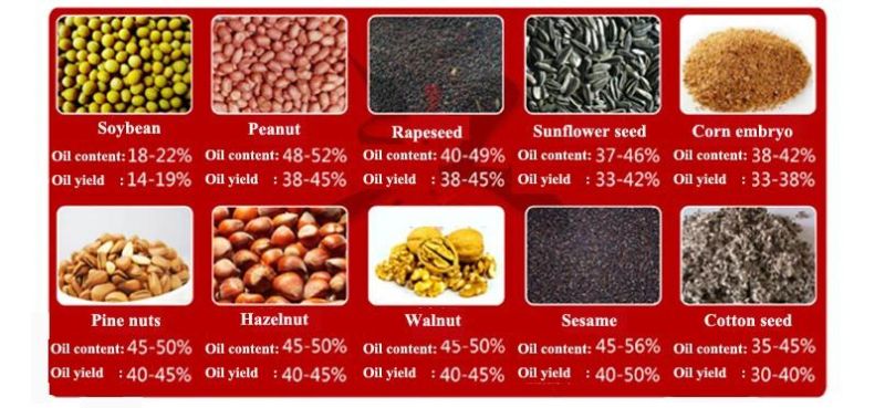 Cold Press Palm Kernel Oil Processing Machine/Palm Kernel Oil Extraction Machine