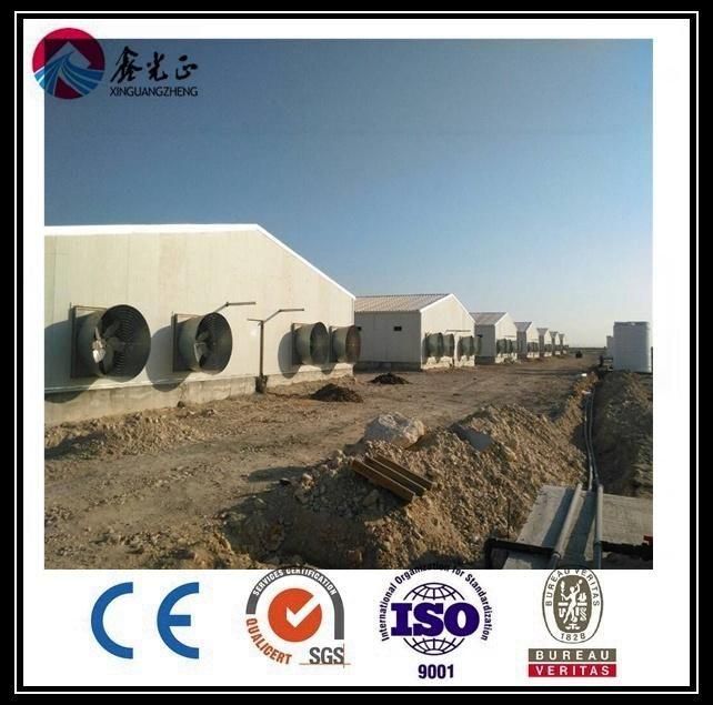 Steel Structure Poultry House (BYPH-220521009)