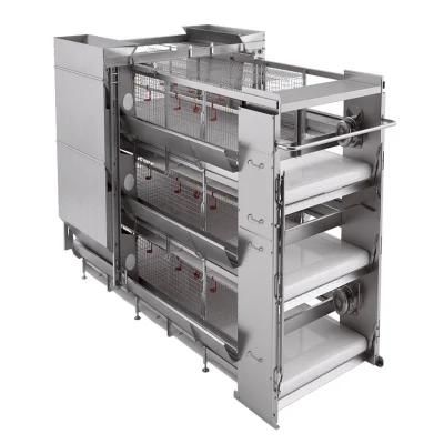 Quickly Built High Quality Easily Management Steel Chicken Poultry Shed