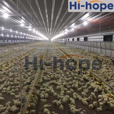 Prefabricated Building Steel Frame Construction Structure Poultry Farm Broiler Prefab Chicken House with Full Set Poultry Equipment