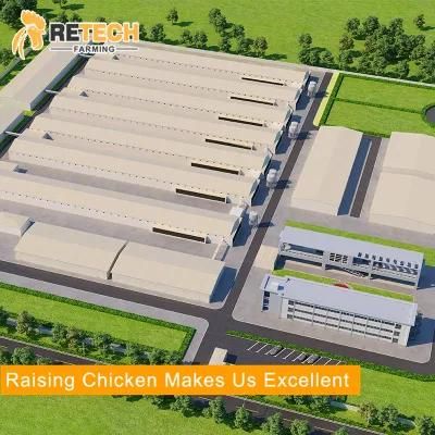 H type automatic layer poultry farms battyer cages
