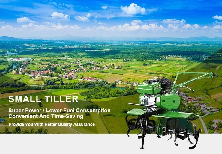 Gasoline Power Mini Tiller Cultivator for Field and Garden