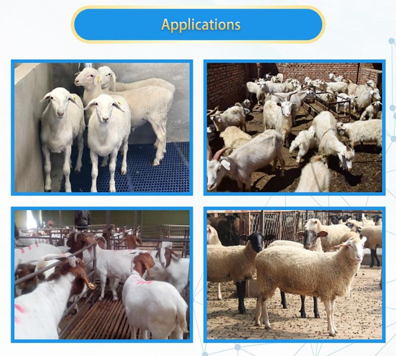Hot Sale Hot DIP Galvanized Custom Sheep Fence Supplier