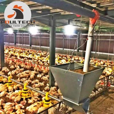 Broiler Chicken Flooring Raising System and Deep Litter Equipment for Poultry Farm