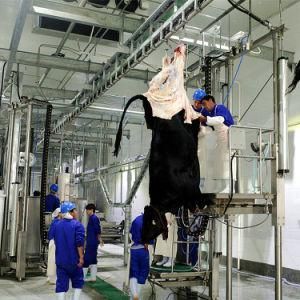 Hajj Bull Slaughter Machine for Auto Halal Cow Butcher Abattoir