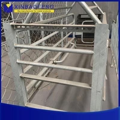 The Factory Directly Sells Pig Breeding Equipment, Animal Husbandry Equipment, Pig Farrowing Box, Sow Farrowing Pen