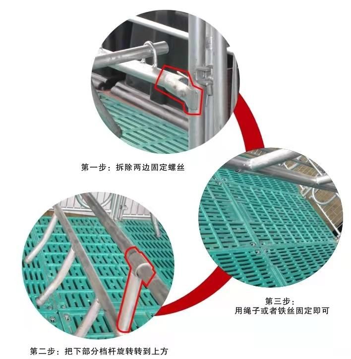 Livestock Equipment Sow Farrowing Crate for Pig with Slats Floor