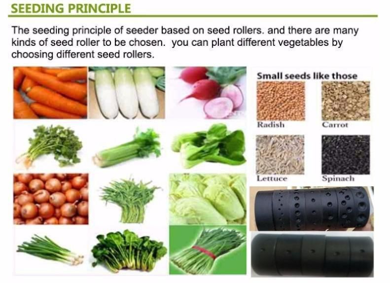 Pellet Seed Planter Such as Carrot/Lettuce/Cucumber 6 Line