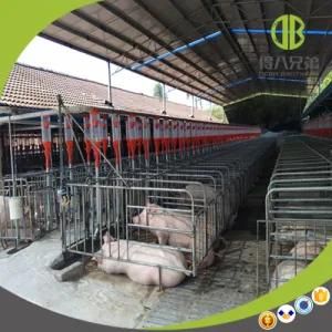 High Quality Wholesale Gestation / Individual Stall for Sow Need Agent