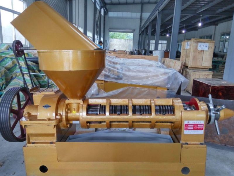 Factory Price, Sunflower Oil Press Machine