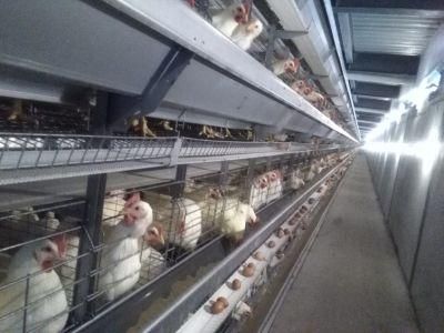Retech Automatic Poultry Farming Equipment Chicken Layer Battery Cage