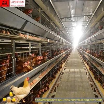 Local After-Sale Service in Asia Automatic Chicken Farming Equipment Poultry Farms Layer Cage