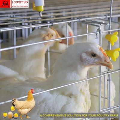 275g Hot Galvanized Wire Mesh and Sheet Equipment Poultry Farm Cage
