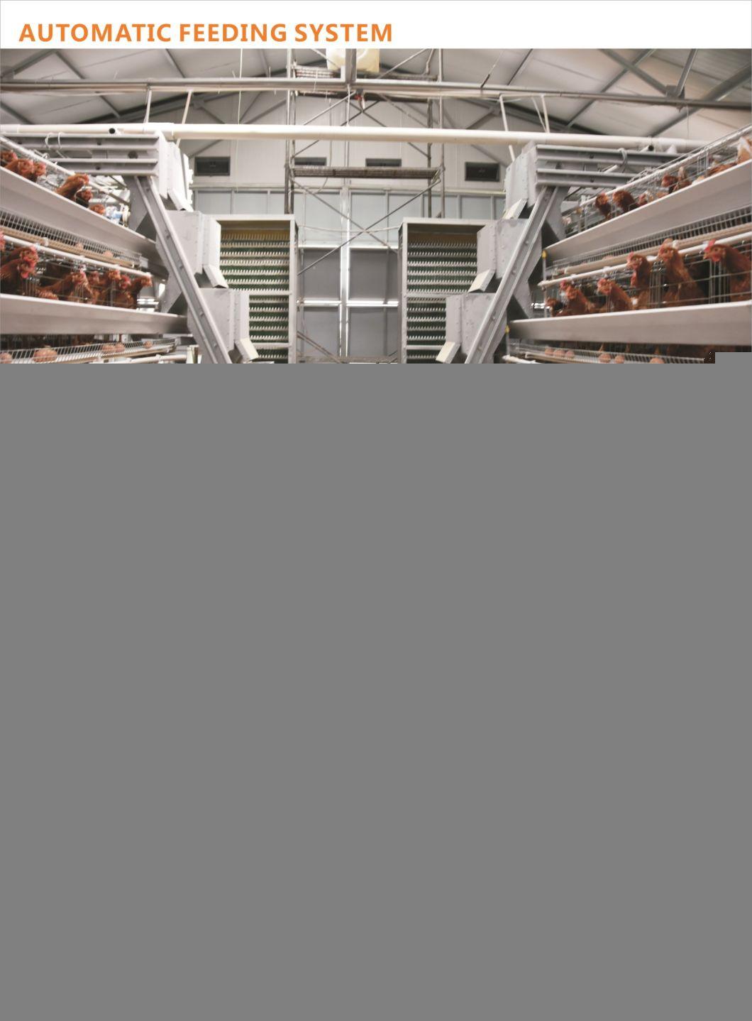 Good Quality Layer Chicken Cage Poultry Farm Equipment