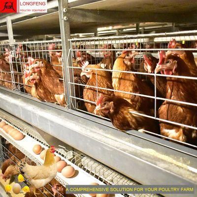 Local After-Sale Service in Asia Poultry Farm Layer Cages Egg Laying Cage