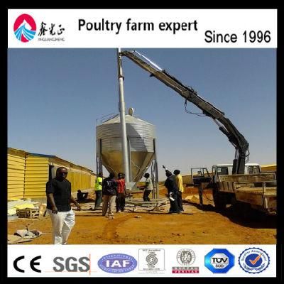 Poultry Feed Growing Broiler Chicks Rate (2018 Best Selling, Discount And Big Sale)