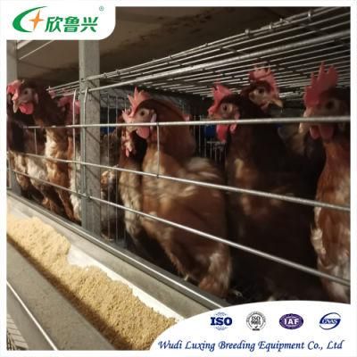 3 Tiers Breeder Battery Price Poultry Type Chicken Layer Wire Mesh Broilers Rearing Cage