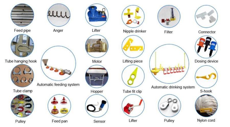 Poultry Farm Equipment Broilers Automatic Feeding Line and Drinking Line