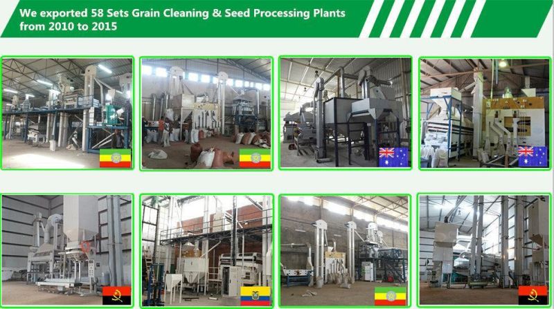 5xzs Sesame Bean Grain Seed Cleaning and Sorting Machine