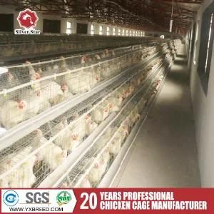 Chicken House H Type Cage Poultry Equipment for Layer or Broiler