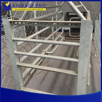 Galvanized Hot DIP Baby Pig Sow Born Farm Breeding Pig Farrowing Stall