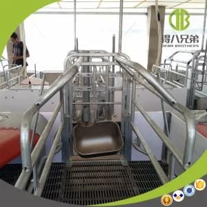 New Design Good Quality Galvanized Farrowing Crate