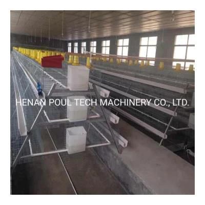 China Factory Supply Hot Sale a Type Battery Animal Cage Chicken Poultry Layer Cage Baby Chicken Cages