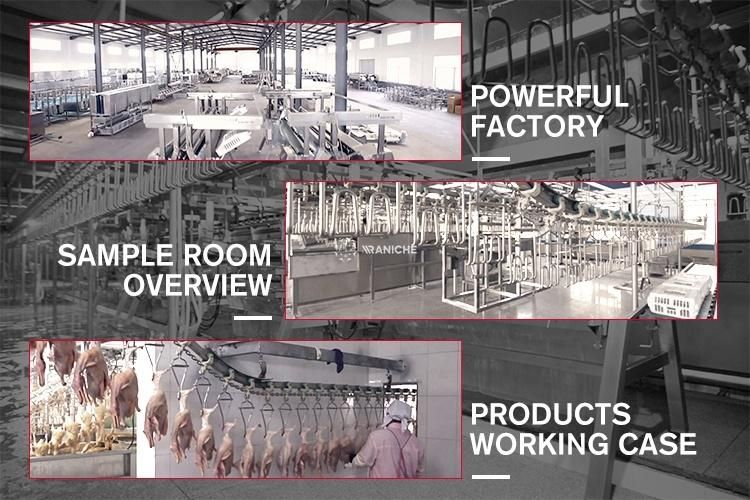 High Quality Poultry Slaughtering Equipment/Duck Slaughterhouse Line