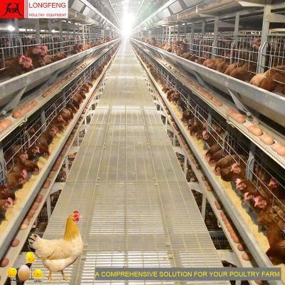 Local After-Sale Service in Asia Poultry Farm Layer Cages Chicken Battery Cage