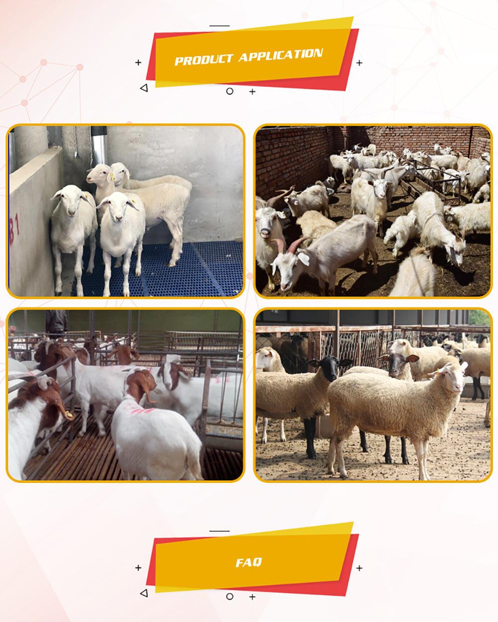 China-Made Agricultural Equipment Hot-DIP Galvanized Fence, Yard Fence, Cattle and Horse Fence, Panel Sheep Fence