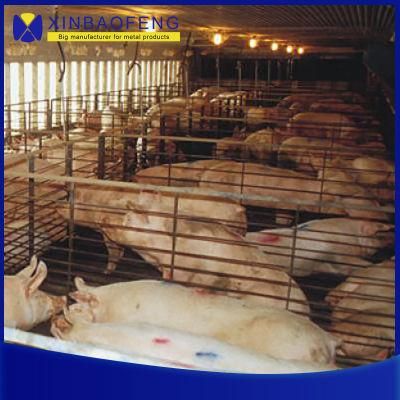 China Luxury Pig Farm Equipment Freedom Farrowing Pen Crate for Farrowing Sow