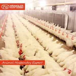 Complete Modern Broiler Automatic Chicken Poultry Farm Equipment