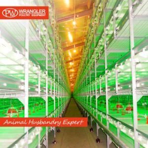 Good Price Automatic Poultry Farm Equipment Broiler Chicken Battery Cage for Sale
