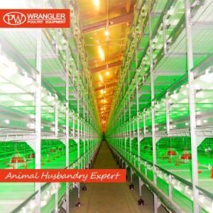 Good Price Automatic Poultry Farm Equipment Broiler Chicken Battery Cage for Sale
