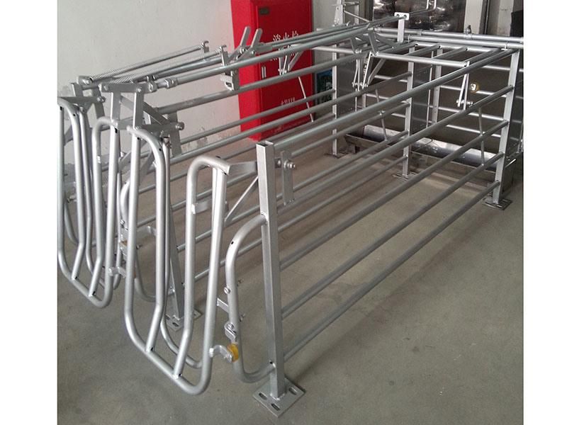 Hot DIP Galvanized Pig Gestation Stall