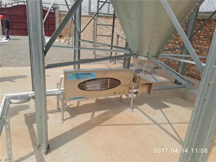 Automatic Pig Feeder Animal Feeding System Equipment for Pig