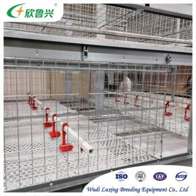 2021 High Quality Different Types a H Type Layer Chicken Cage Battery Automatic Farm Equipment for Sale