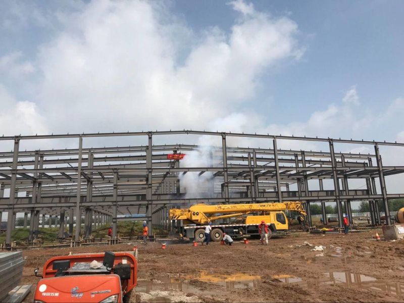 Professional Steel Structure Chicken Farm with Ce Certification