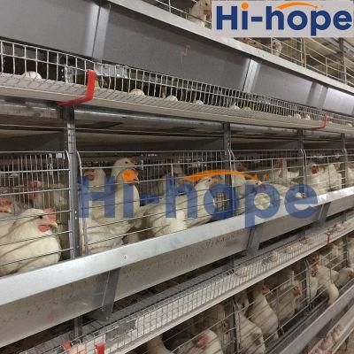 Automatic Battery Egg Hens Poultry Equipment Chicken Layer Cage