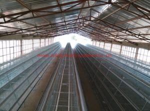 Complete Poultry Auto Feeding Equipment for Broiler / Breeder