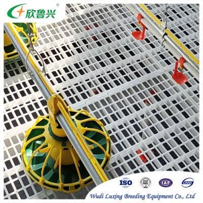 Automatic Poultry Feeding and Drinking System for Chicken Farm House Ground Floor Raising Keeping Equipment