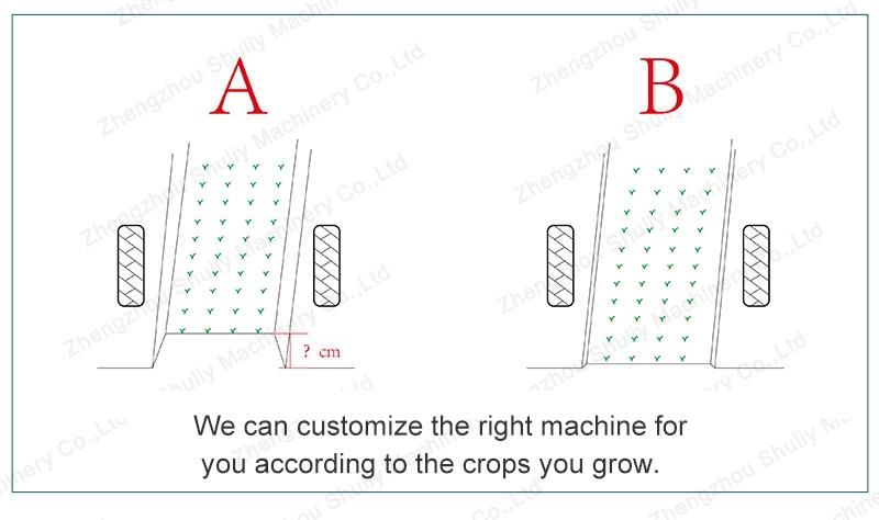 Vegetable Transplanting Machinery Sweet Potato Tomato Transplanter Machine for Sale