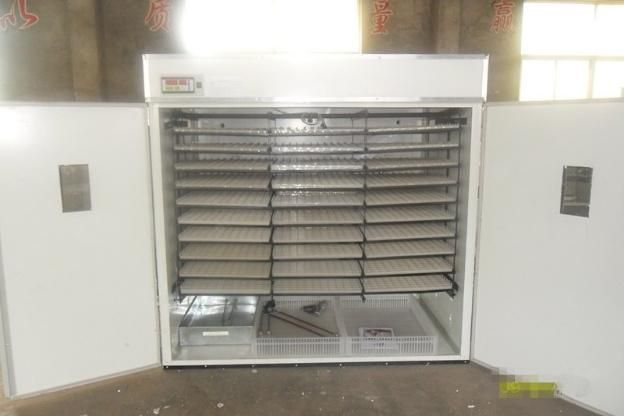Hhd Automatic Egg Incubator for Hatching Machine Holding 5000 Eggs
