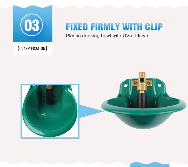 a-Type Hot Sale Drinking Bowl